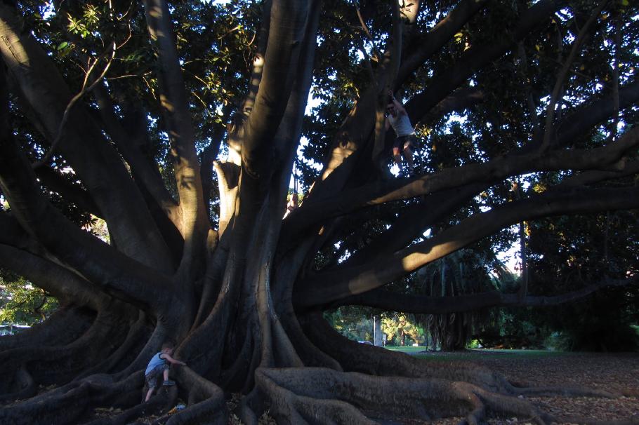 Der Traum aller kleinen und großen Kinder