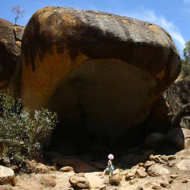 Schnapp machte das Flusspferd.