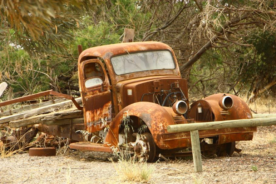 Dieser Gast parkt wohl schon länger am Lake King Camp Ground