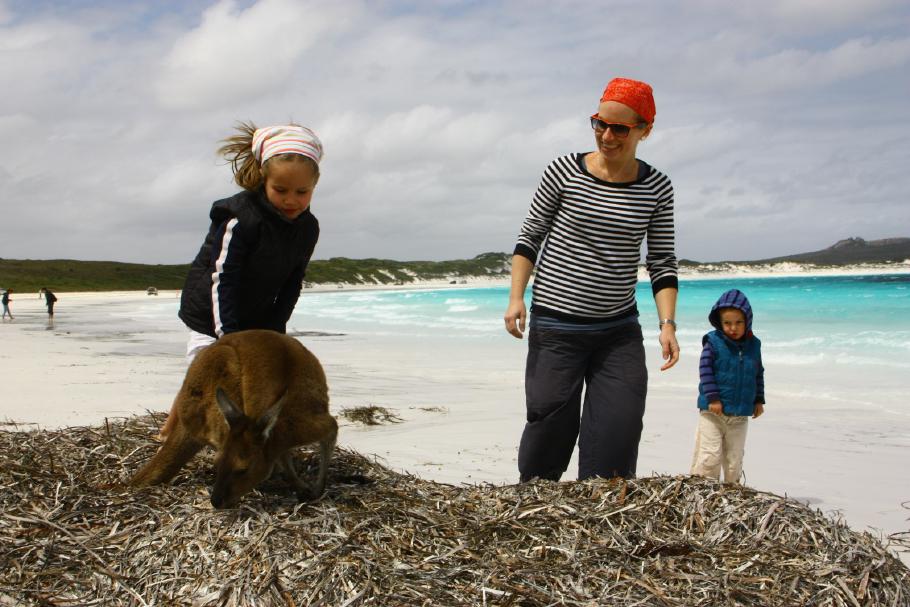 Kängurus in der Lucky Bay - Annabell will es mitnehmen, Felix ist eifersüchtig.