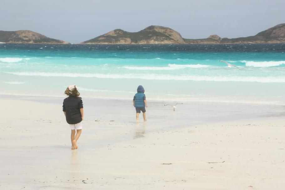 &hellip; während die Kinder auf Mövenjagd sind.