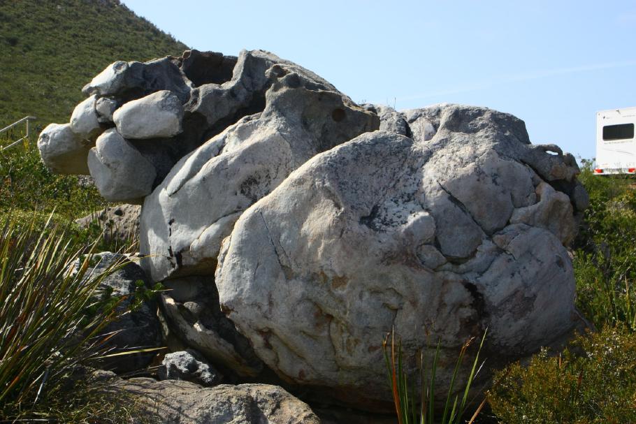 Versteinertes Schaf?