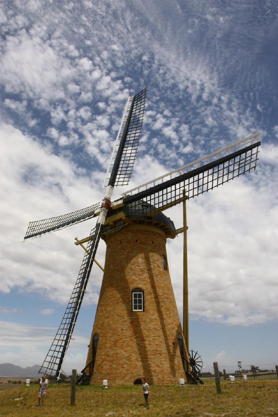 Die holländische Windmühle Lilly