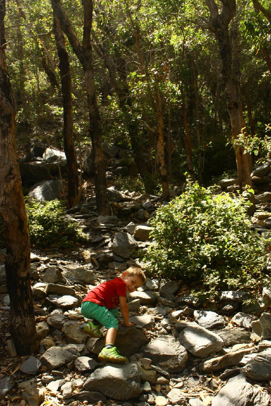 Felix liebt es zu klettern