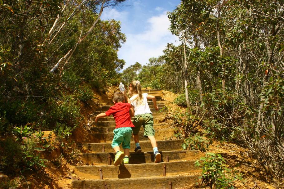 Wer ist zuerst oben?