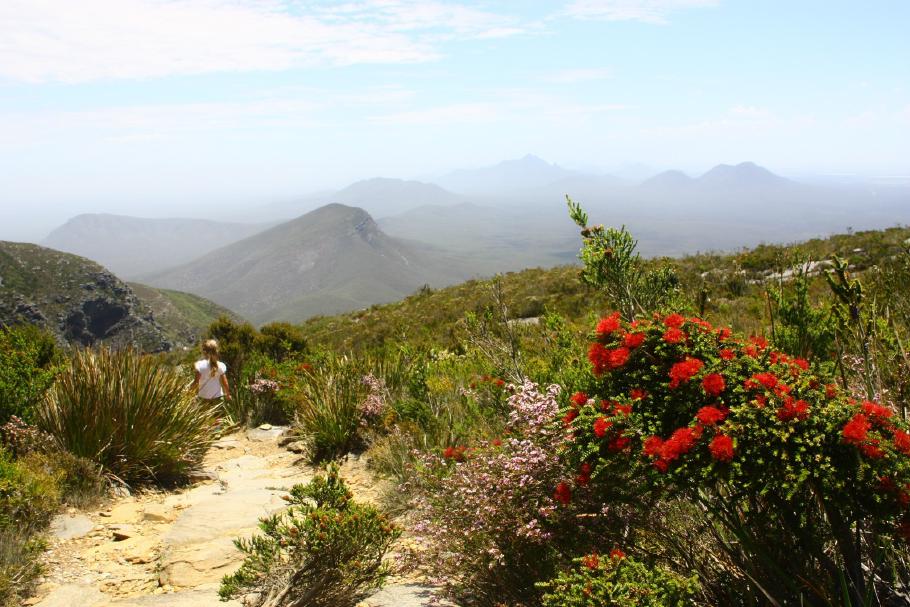 Nun beginnt der Abstieg
