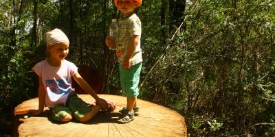 image from Porongurup National Park