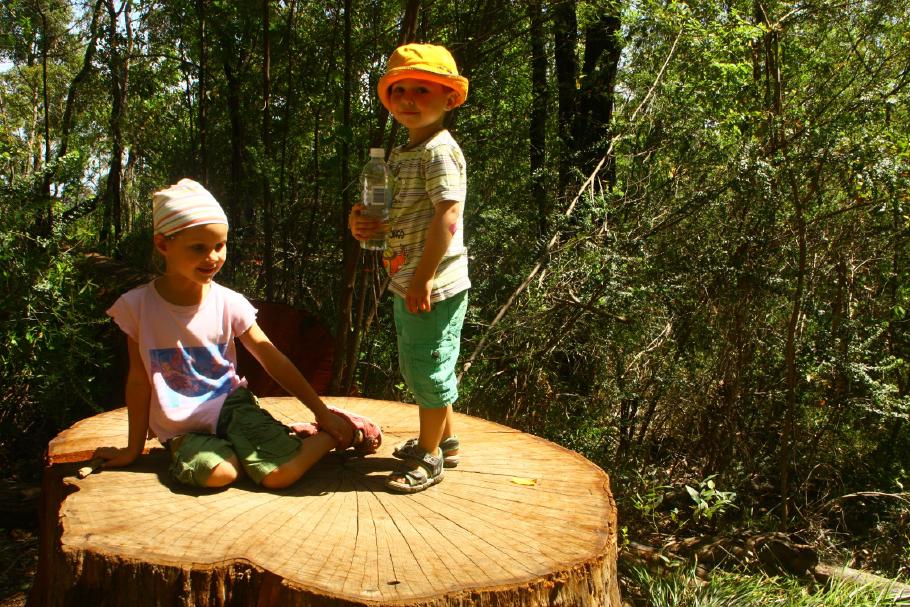 Irgendwie wirken die Kinder kleiner