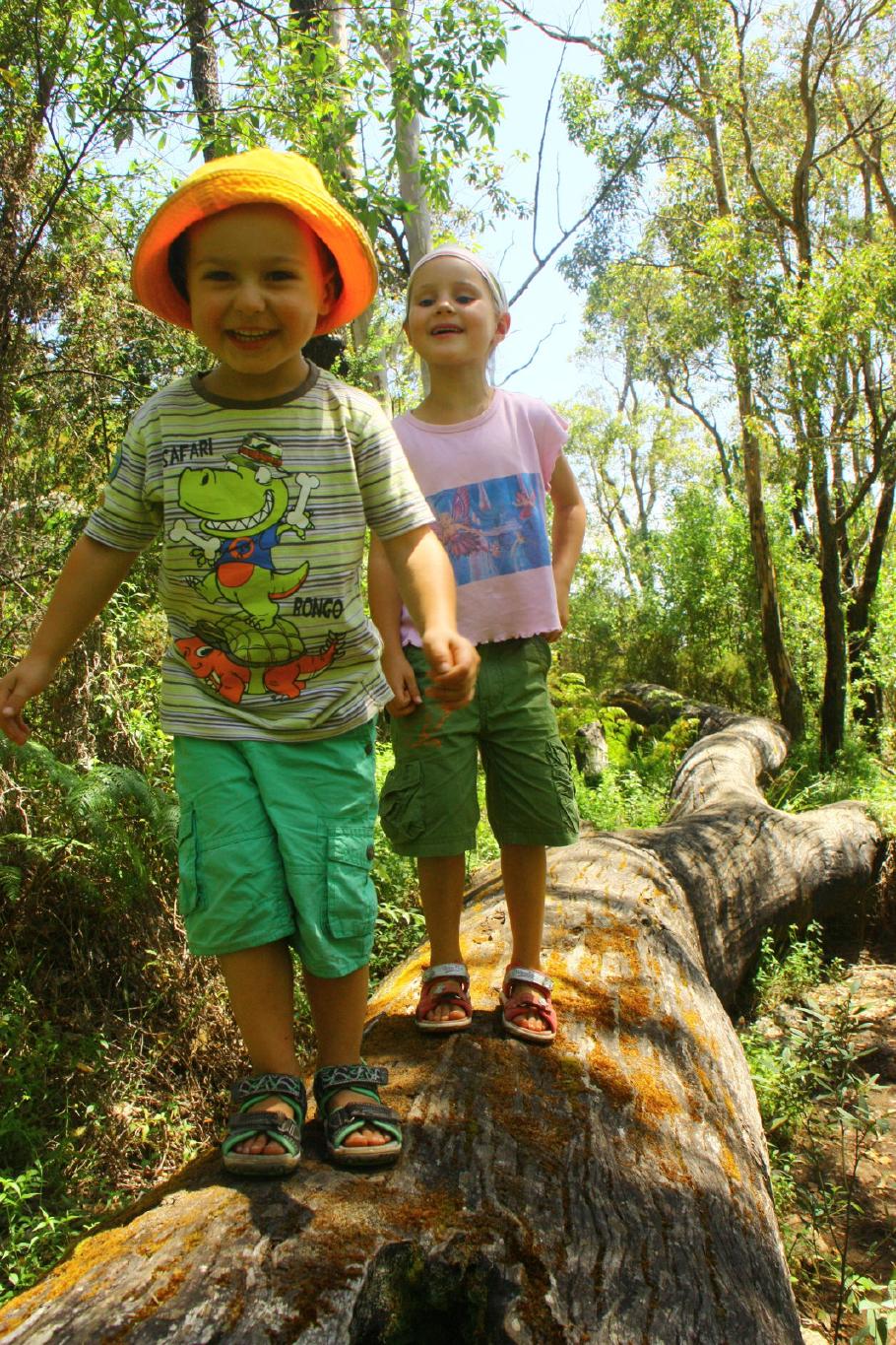 Die Kinder lieben die großen Bäume