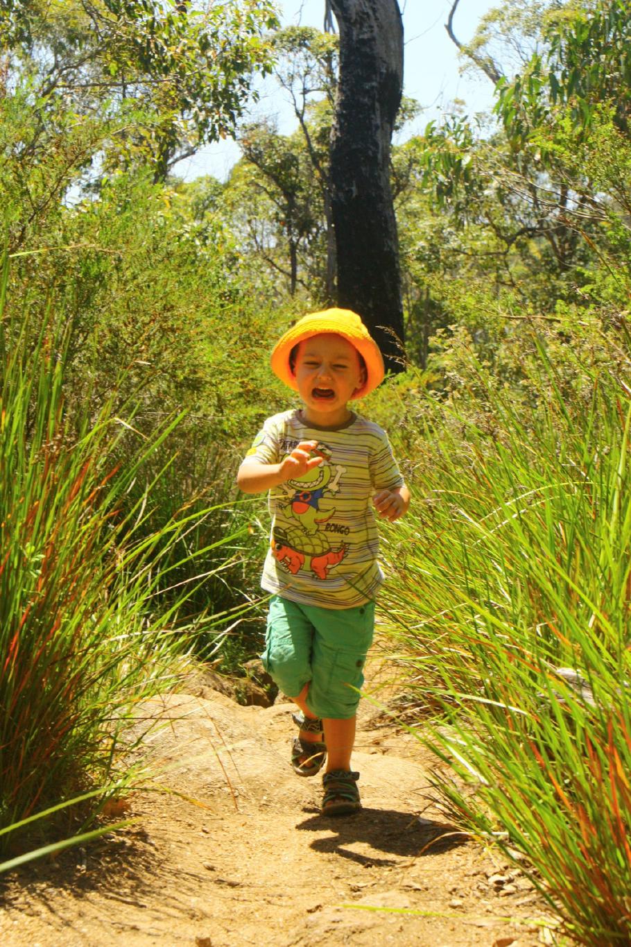 Felix verliert kurz die Wanderlust