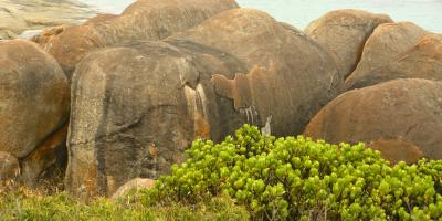 image from William Bay National Park