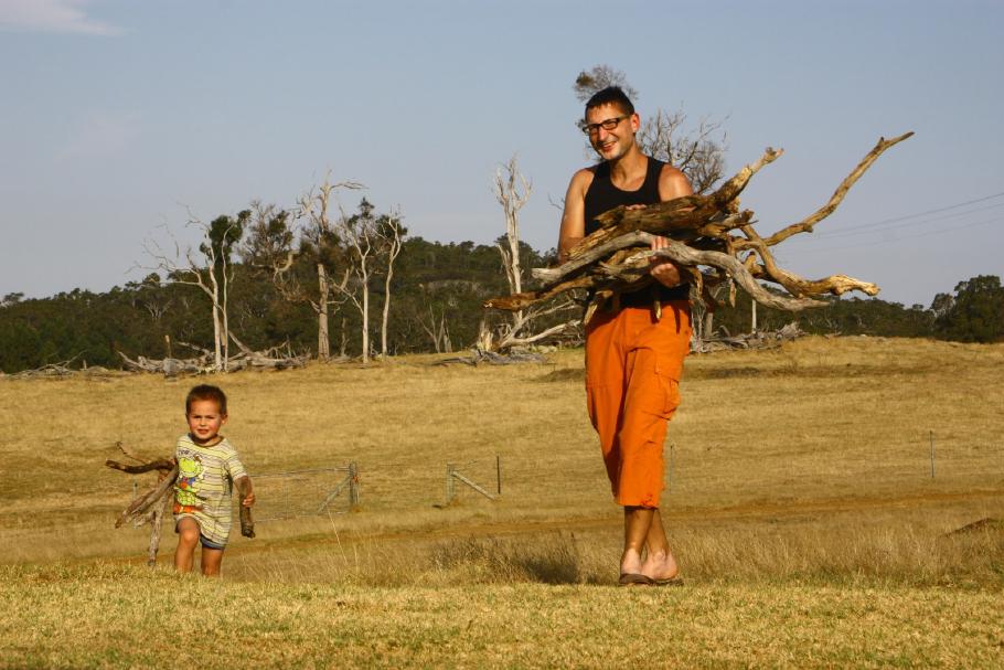 Wir sammeln Feuerholz