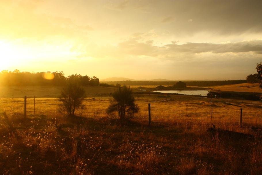 &hellip; inmitten einer Farm