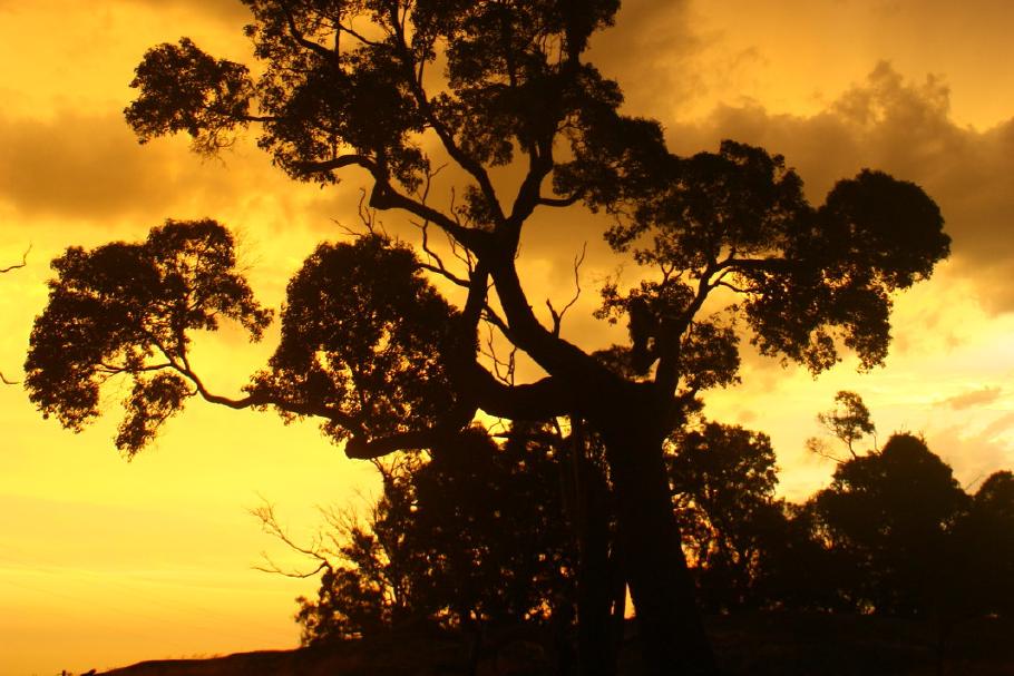 Sonnenuntergang kurz vor&rsquo;m Gewitter
