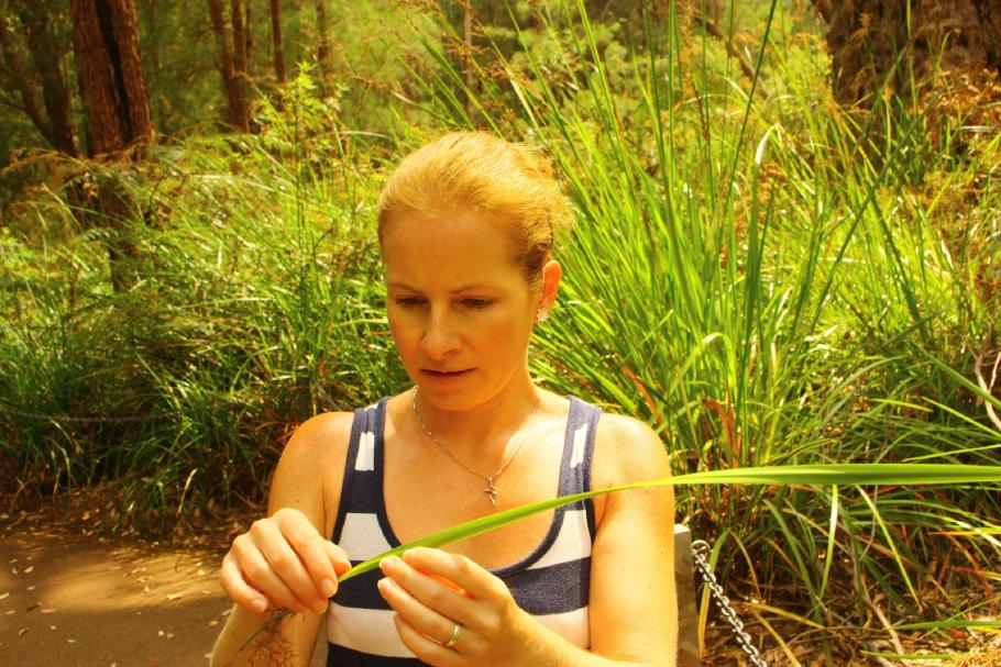 Das Schwertgras ist wirklich sehr scharfkantig