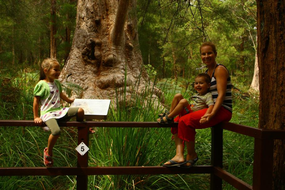 Der Grandma-Tingle im Hintergrund ist über 400 Jahre alt und sieht auch so aus.