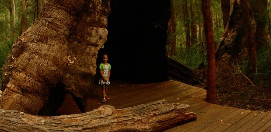 Begehbarer Tingel-Tree