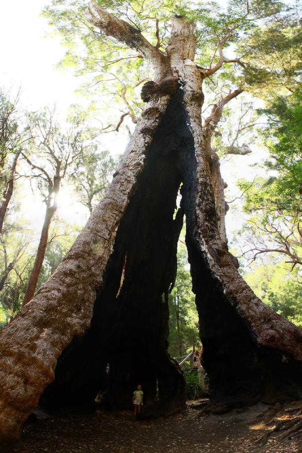 &hellip; kann man nur als Hochkant-Panorama vollständig einfangen