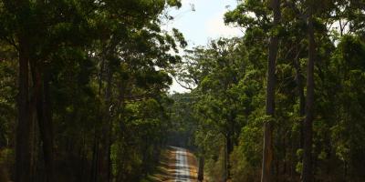 image from Fahrt nach Alexandra Bridge