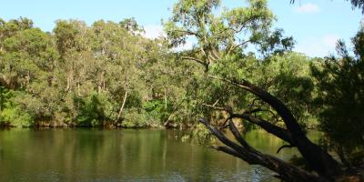 image from Hamelin Bay, Augusta