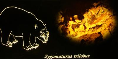 image from Mammoth Cave, Margaret River, Canal Rocks