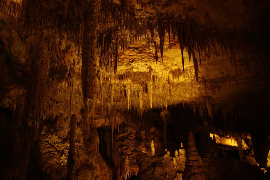 &hellip; und auch viele kleine