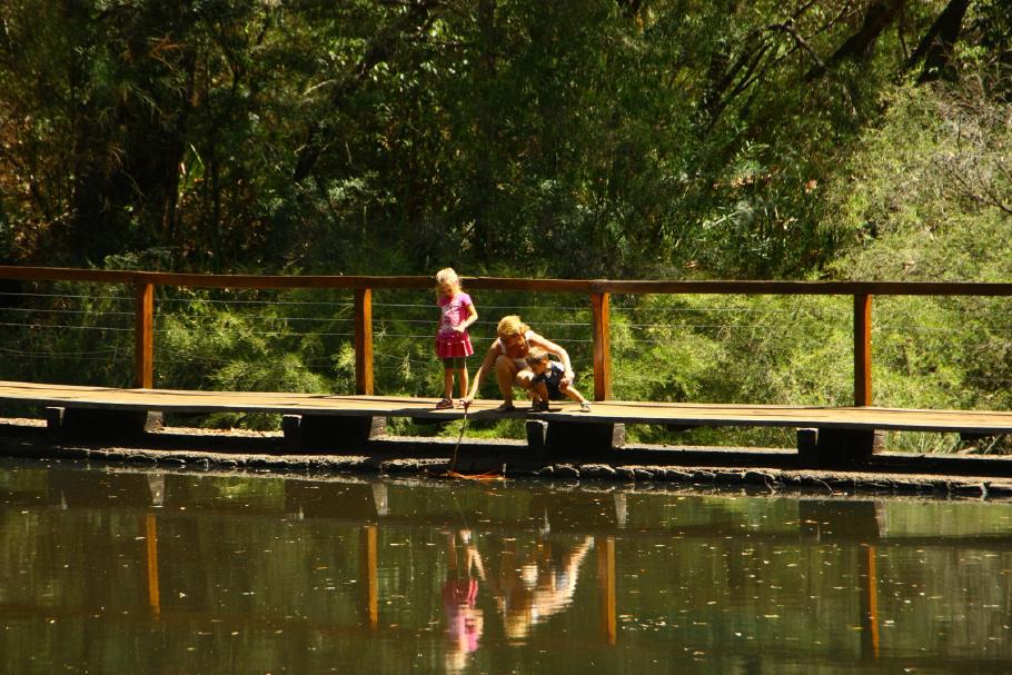 Stapellauf - die Rinde der Karribäume gibt ausgezeichnete Boote ab.