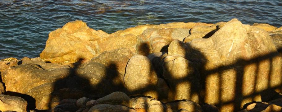 Ein Schatten unserer Selbst