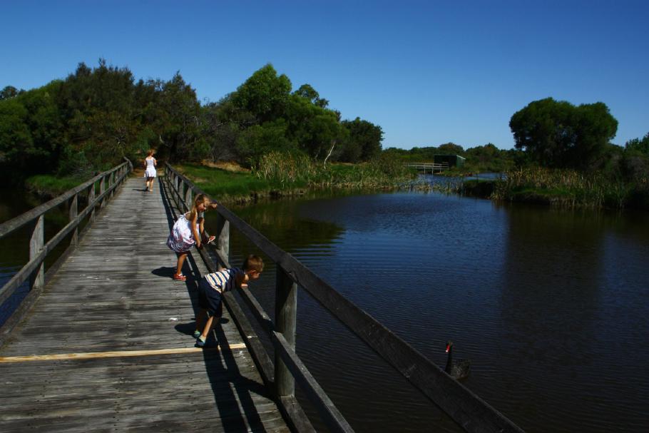 Von den Brücken aus sieht man jede Menge Wasservögel