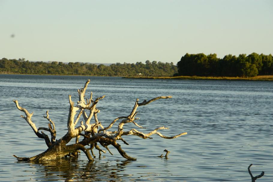 Das Leschenault Inlet von der anderen Seite gegenüber der Stadt - leider ist der Campingplatz wegen eines Buschfeuers geschlossen.
