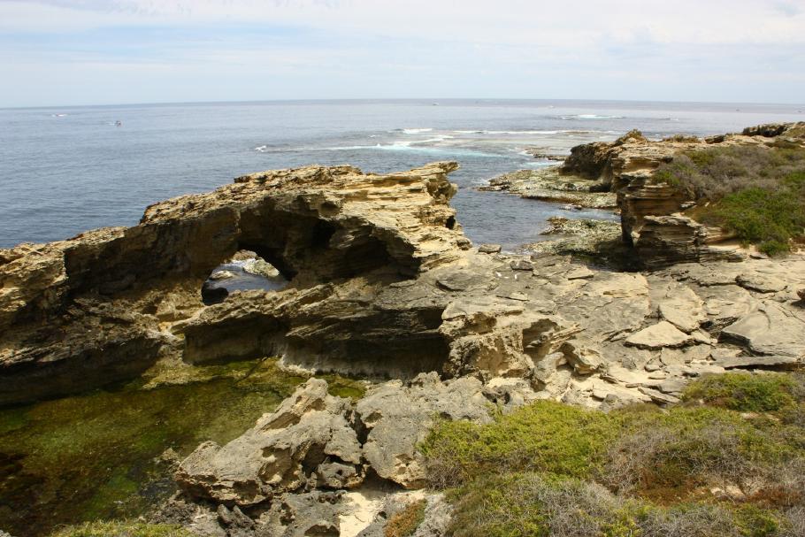 Die zerklüftete Küste bietet Versteck und Lebensraum für viele Tierarten