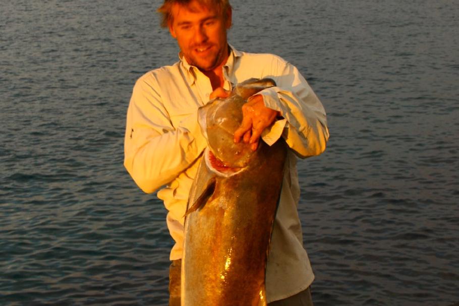 Anglerglück - zwei der Angler mussten ins Wasser steigen, um diesen Fang zu bergen.