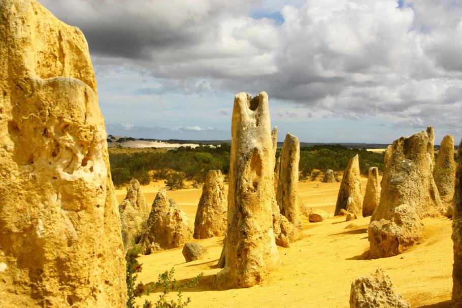 Eine Theorie besagt, dass es sich um einen versteinerten Wald handelt