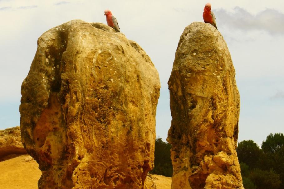 Zwei Wächter - was die wohl bewachen?