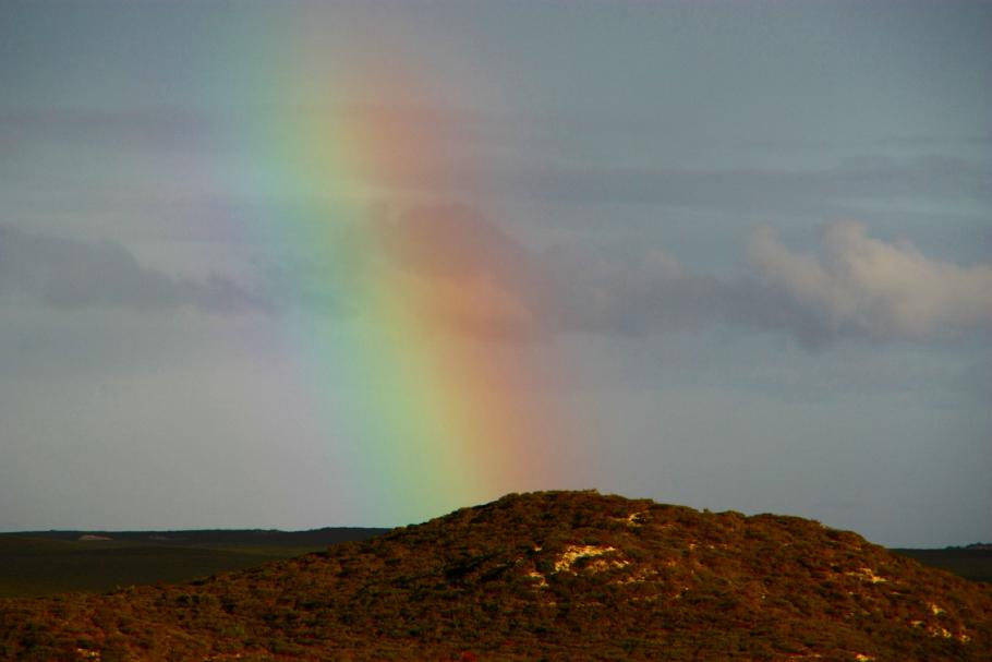 Topf voll Gold? Es sah zwar vielversprechend aus aber unser Lottoschein, den wir gestern gekauft haben, ist dennoch eine Niete.