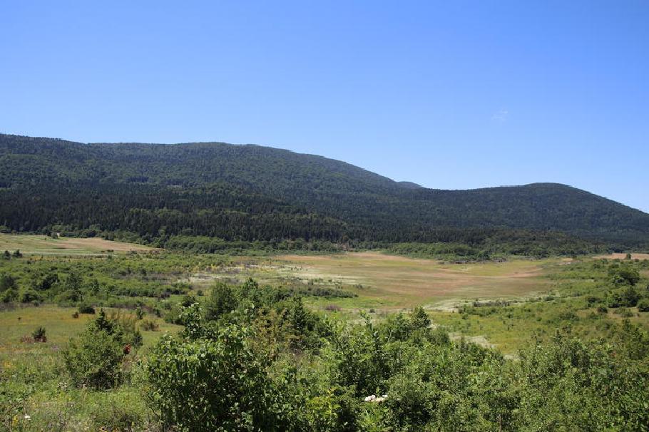 Eine Büffelherde würde hier nicht mal fehl am Platz wirken.