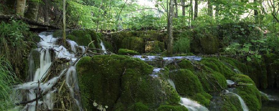 Überall fließen kleine Bächlein zwischen den Seen.