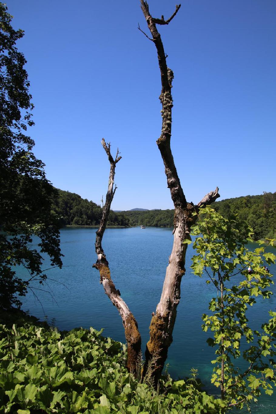 Das Schiff wird uns bis zum anderen Ende des Sees bringen.