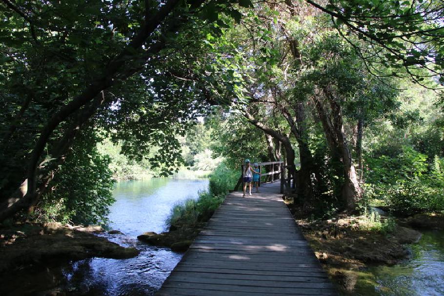 Es gibt nur wenig trockenen Waldboden zwischen die vielen Bächen - dafür aber Holzstege für die Besucher.