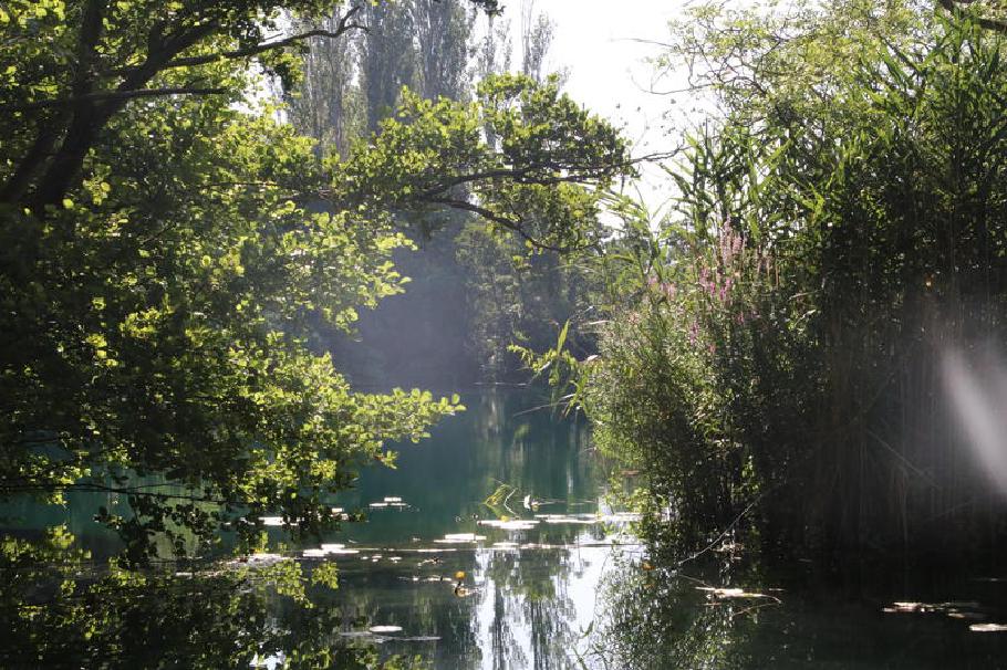 Die noch tief stehende Morgensonne vertreibt die letzten Frühnebel.