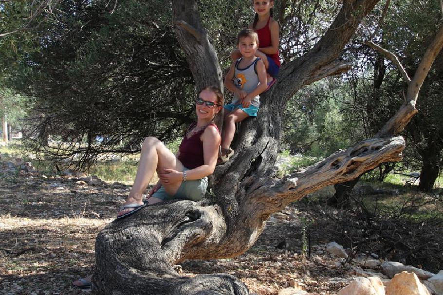 Liegebaum. Dieser ist umgefallen und einfach weiter gewachsen.