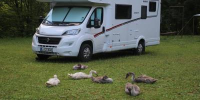 image from Heimwärts