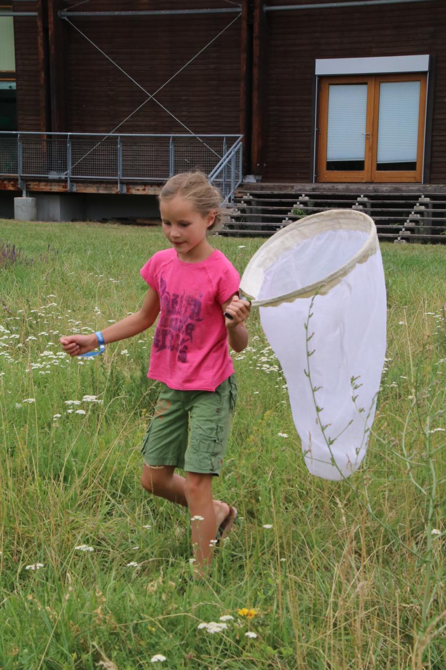 Wir fangen Wildtieren wie den (Ameisen-)Löwen.