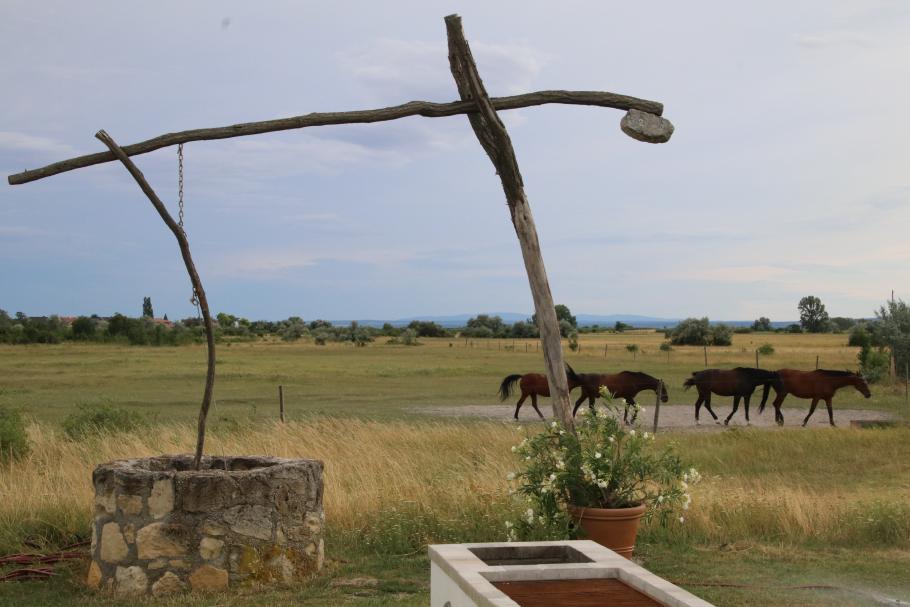 Landidyll direkt am Restaurant.