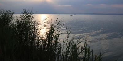 image from Neusiedler See