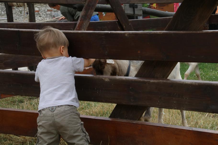 &hellip; bis auf Mattis, der sucht sich lieber Tiere auf Augenhöhe.