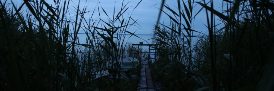 Nur wenige Meter Schilfgürtel trennen unser Nachtquartier vom Balaton.