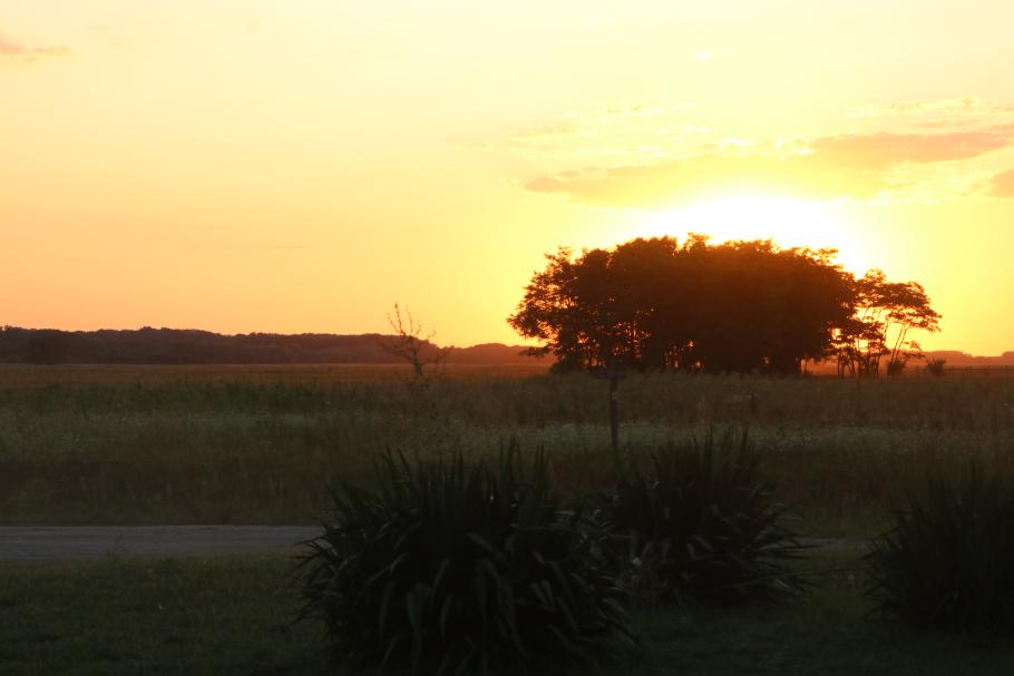 Sonnenuntergang über der ungarischen Puszta.