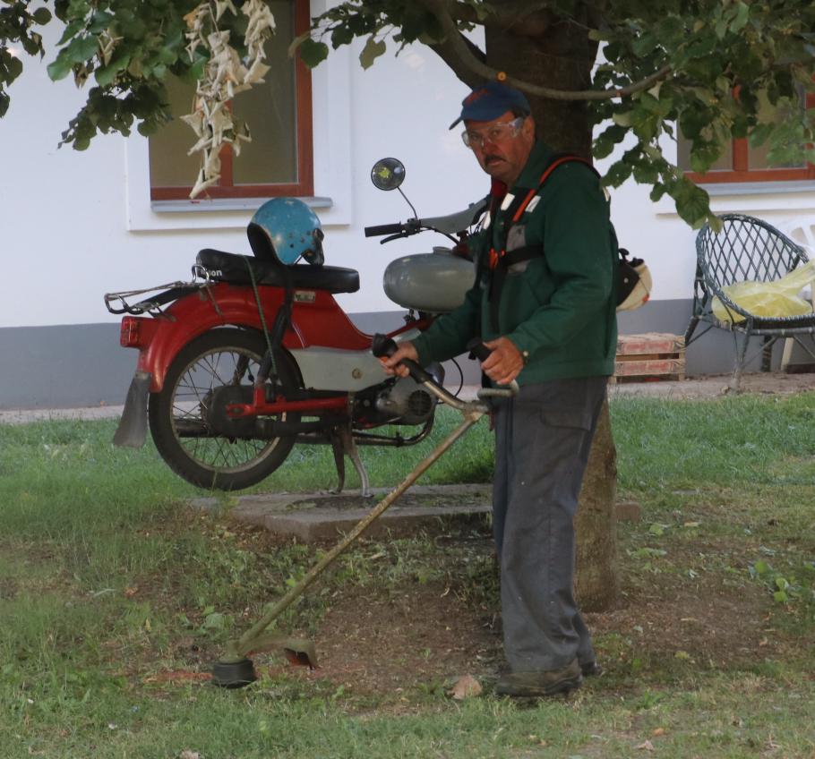 Der Gärtner musste unbedingt um 6:30 mit der Motorsense neben den Wohnmobilen loslegen.