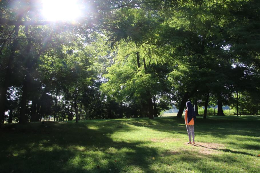 Früh sind nur 11 Grad. Annabell tankt erstmal Sonne.